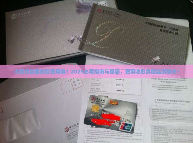 小额贷款要收取费用嘛