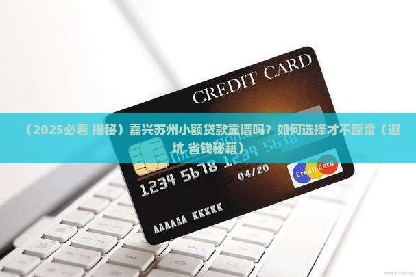 嘉兴苏州啊小额贷款