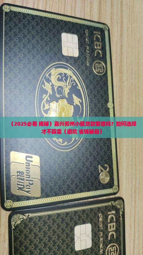 嘉兴苏州啊小额贷款