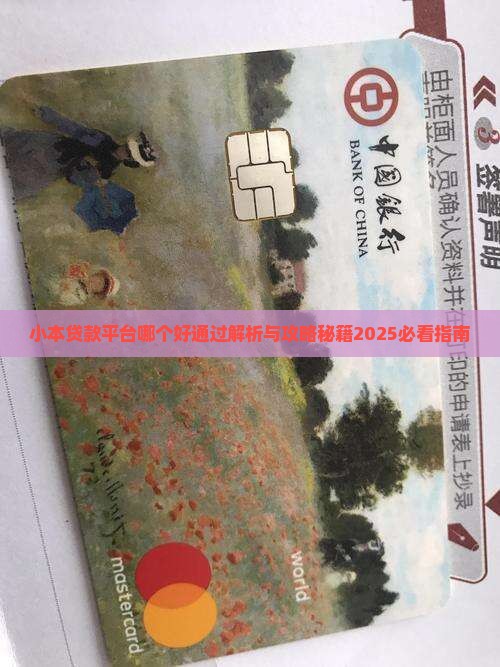 小本贷款平台哪个好通过