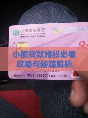 小额贷款可以维权吗