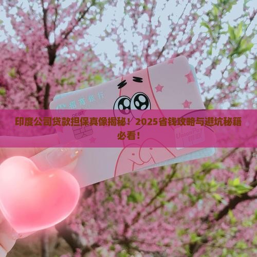 印度公司担保贷款