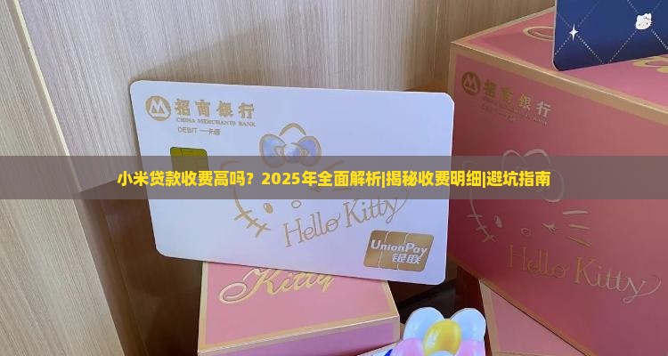 小米贷款收费高吗