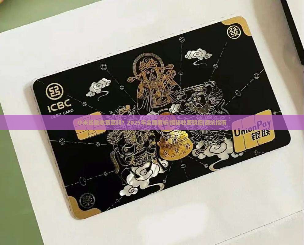 小米贷款收费高吗