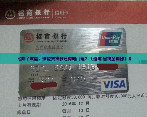 微粒贷贷款除了友信