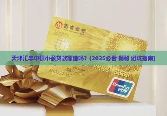 天津汇丰中银小额贷款