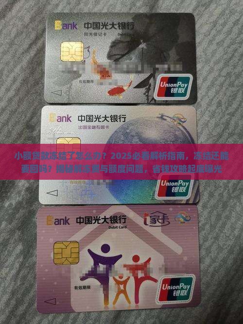 小额贷款冻结了怎么办