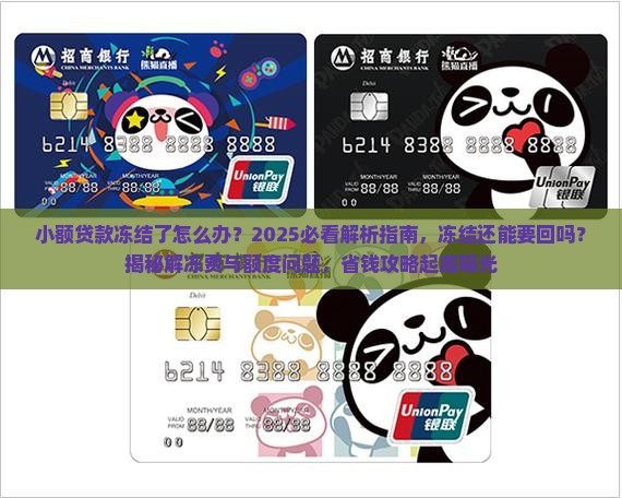 小额贷款冻结了怎么办