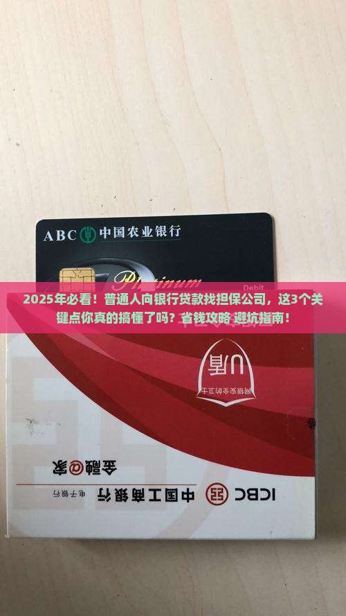 向银行贷款由担保公司