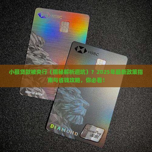 小额贷款被央行