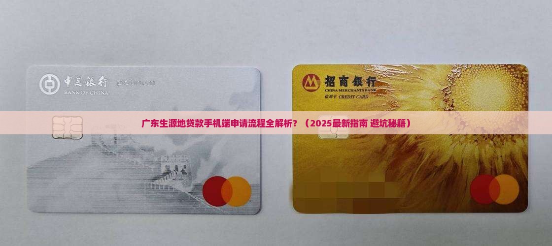 广东生源地贷款手机端
