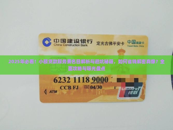 小额贷款服务费名目