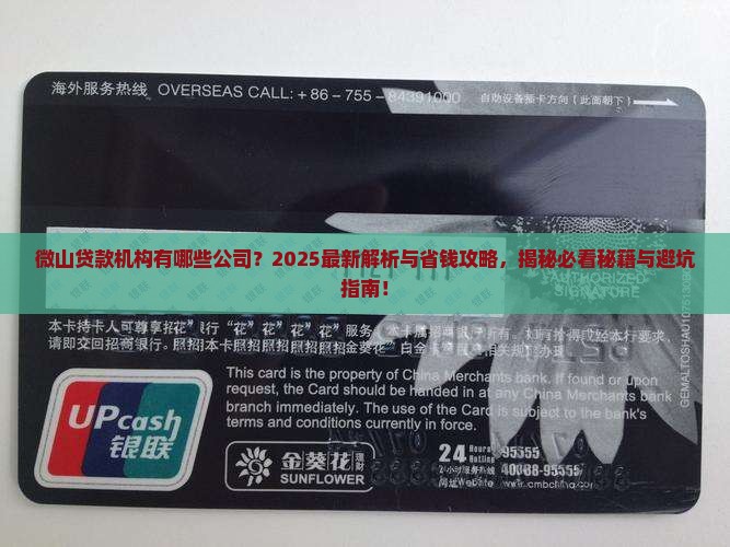 微山贷款机构有哪些公司