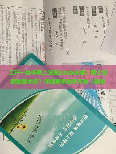 工行一类卡网上贷款