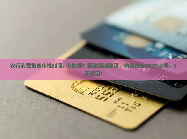 农行消费贷款审批时间