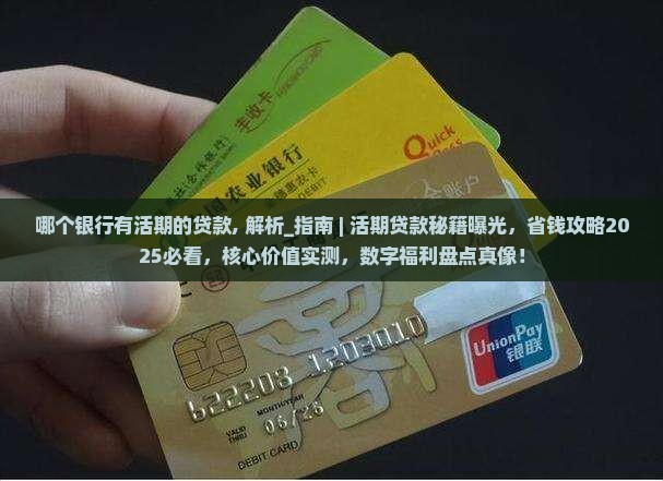 哪个银行有活期的贷款
