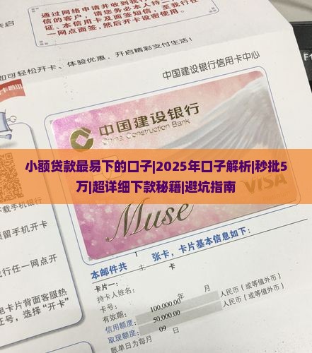 小额贷款最易下的口子