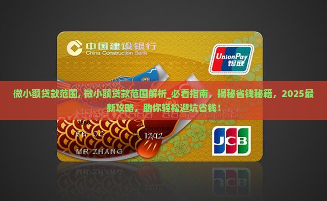 微小额贷款范围
