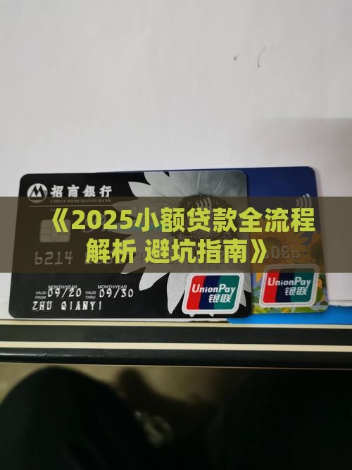 小额贷款一手入手学习