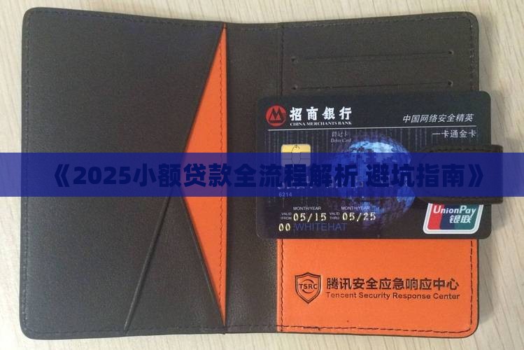 小额贷款一手入手学习