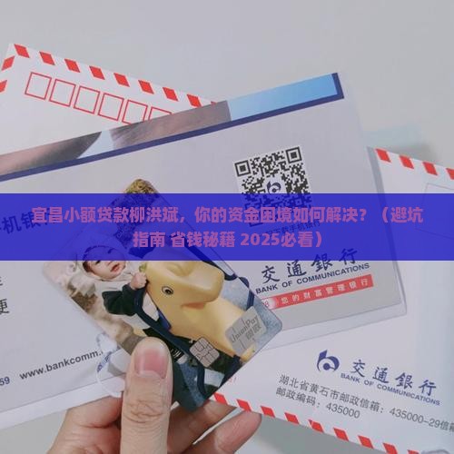 宜昌小额贷款柳洪斌