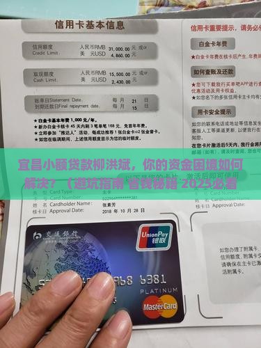 宜昌小额贷款柳洪斌