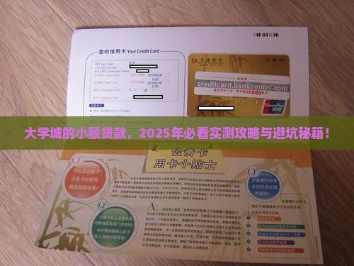 大学城可以做小额贷款吗