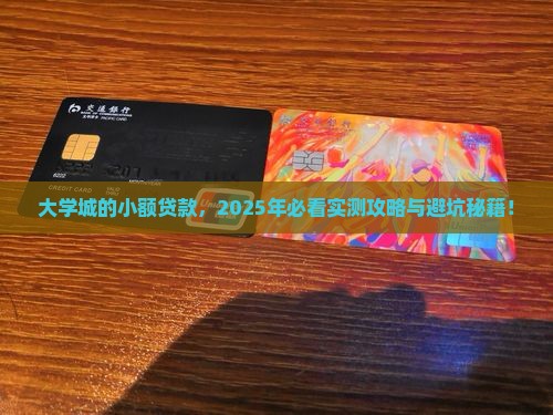 大学城可以做小额贷款吗