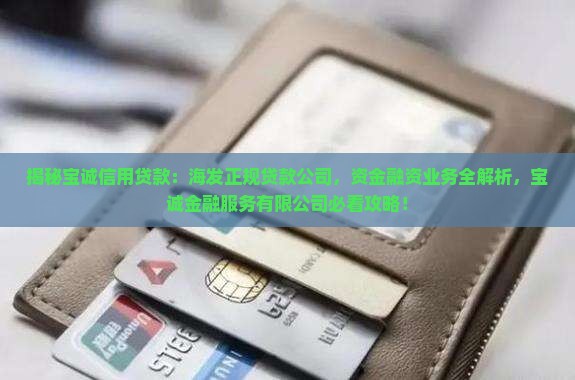 宝诚信用贷款
