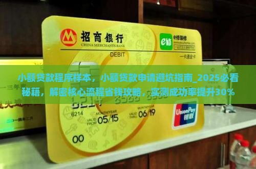 小额贷款程序样本