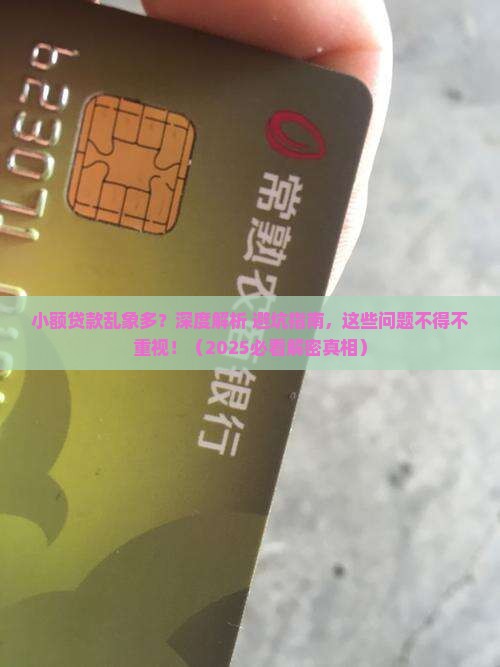 小额贷款需整理整改措施