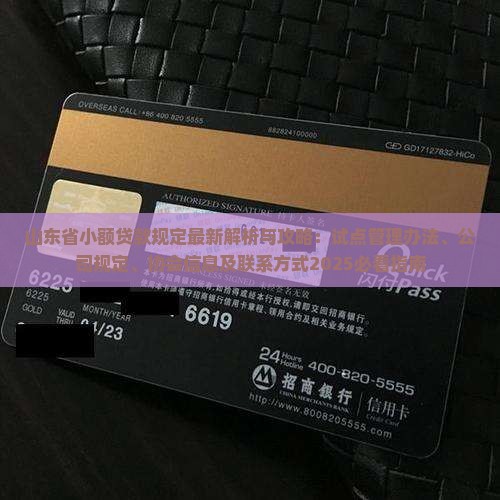 山东省小额贷款规定