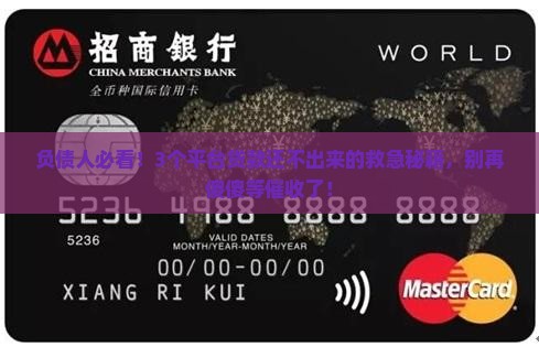 平台贷款还不出来怎么办