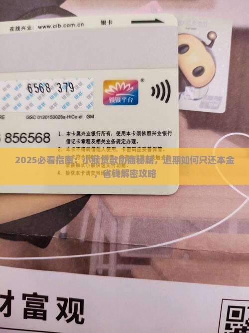 小额贷款如何只还本金