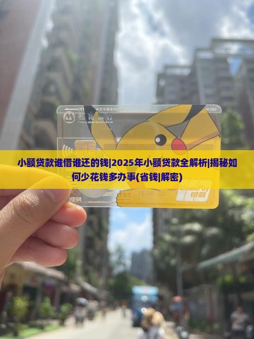 小额贷款谁借谁还的钱
