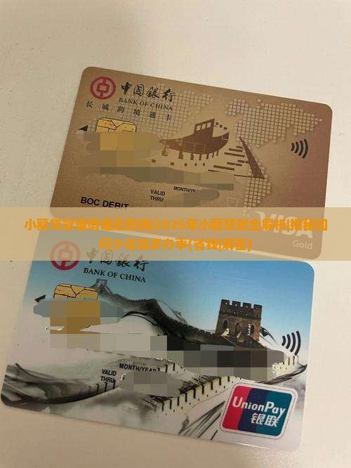 小额贷款谁借谁还的钱