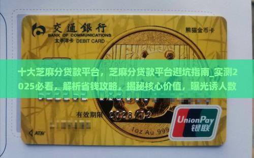 十大芝麻分贷款平台