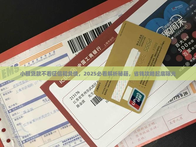 小额贷款不看征信和负债