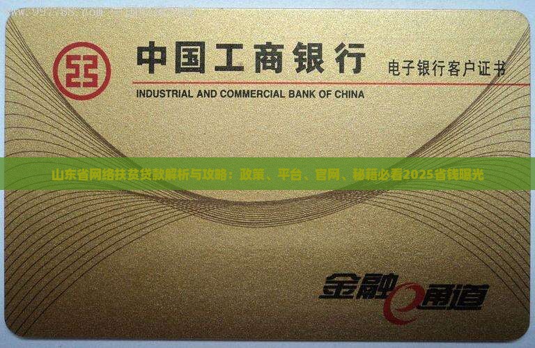 山东省网络扶贫贷款