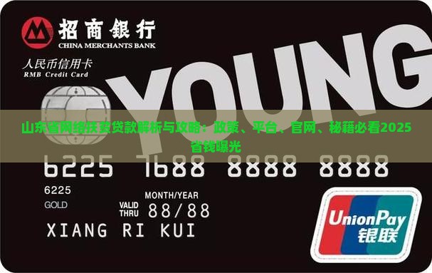 山东省网络扶贫贷款