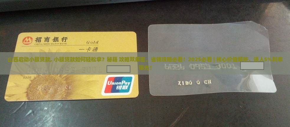 山西启动小额贷款