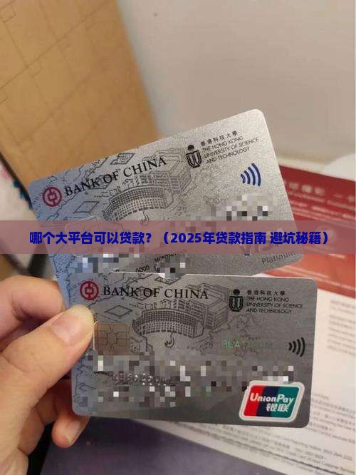哪个大平台可以贷款