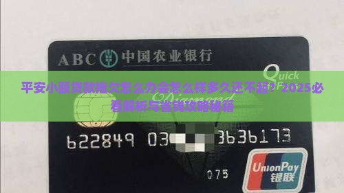 平安小额贷款拖欠