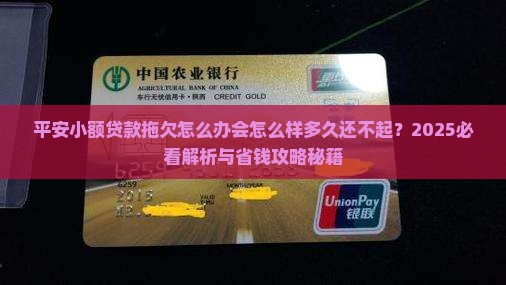 平安小额贷款拖欠