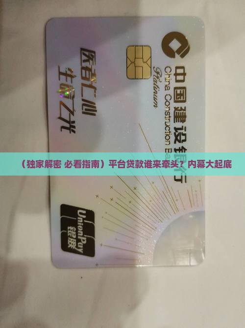平台贷款牵头行