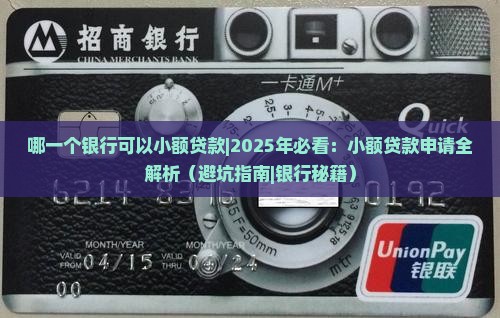 哪一个银行可以小额贷款