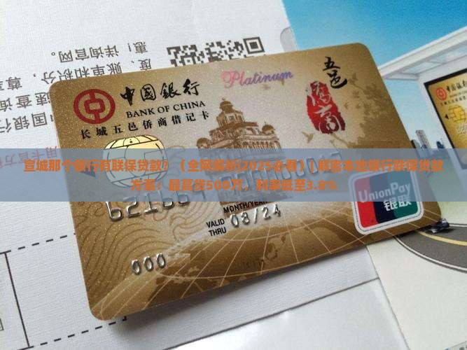 宣城那个银行有联保贷款