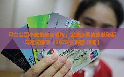 平台公司小微企业贷款