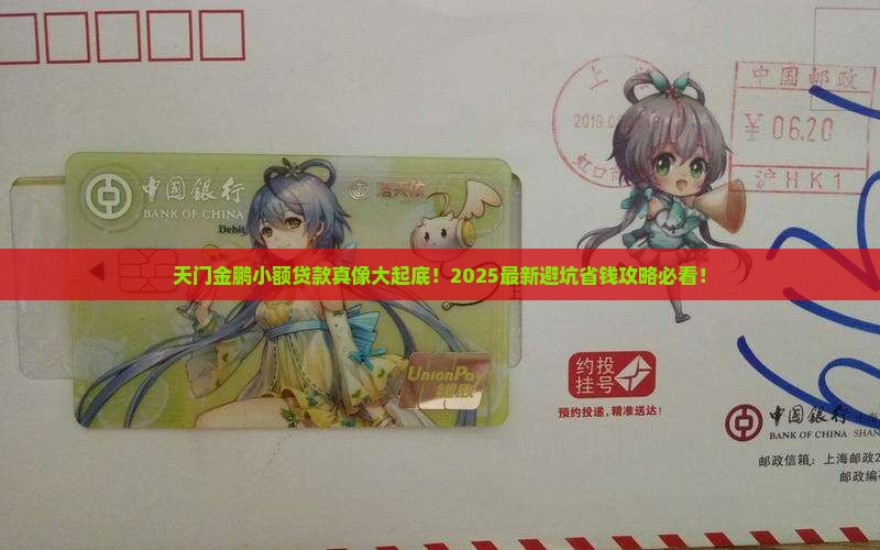 天门金鹏小额贷款怎么样