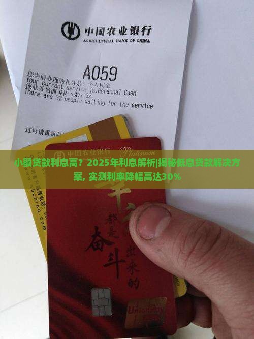 小额贷款利息n